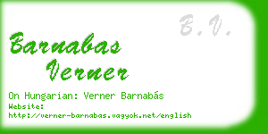barnabas verner business card
