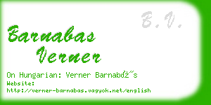 barnabas verner business card